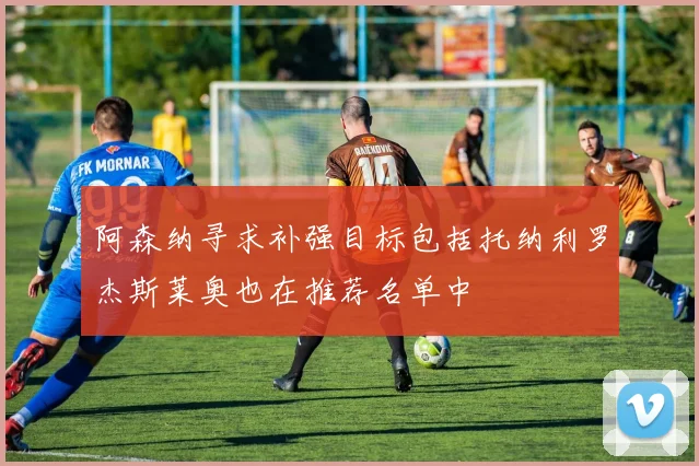 阿森纳寻求补强目标包括托纳利罗杰斯莱奥也在推荐名单中