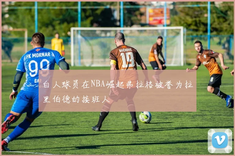 白人球员在NBA崛起弗拉格被誉为拉里伯德的接班人