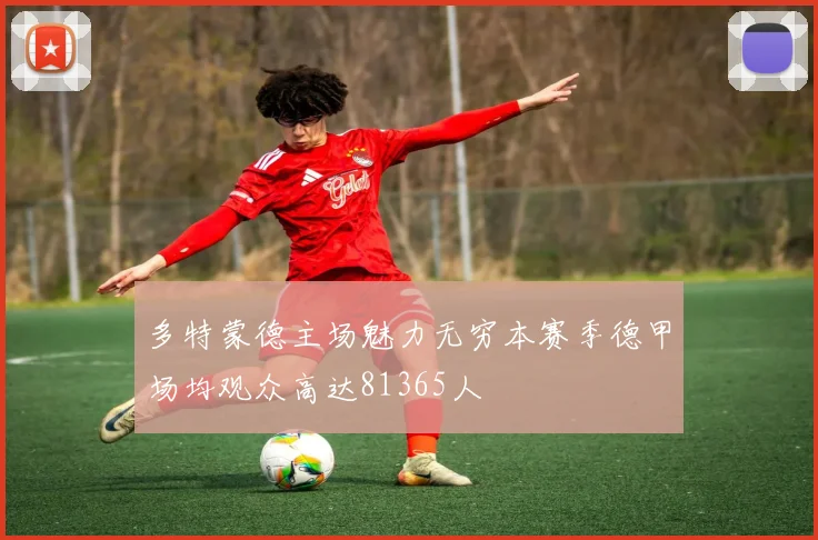 多特蒙德主场魅力无穷本赛季德甲场均观众高达81365人