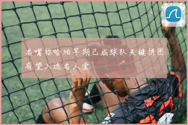 名嘴称哈珀早期已成球队关键拼图有望入选名人堂